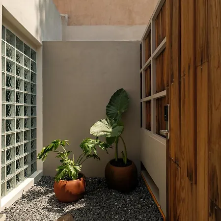 Cholula Condesa Hotel By Lumina
