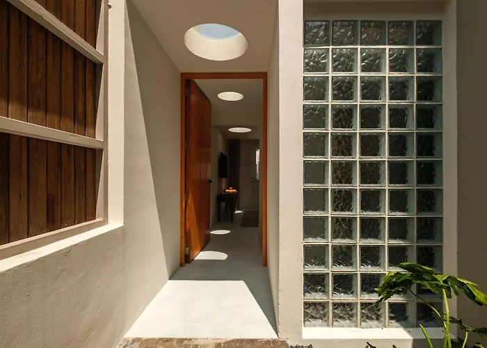 Cholula Condesa By Lumina Hotel